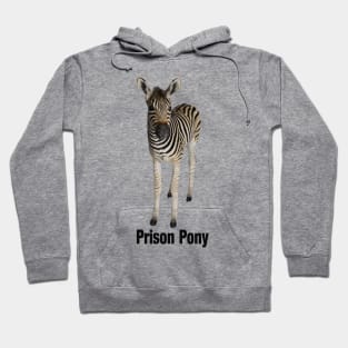 Zebra is a Prison Pony Hoodie